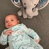 Personalized Baby Gift Boy Stuffed Animal Birth Announcement Elephant Birth Stats Plush Baby ...