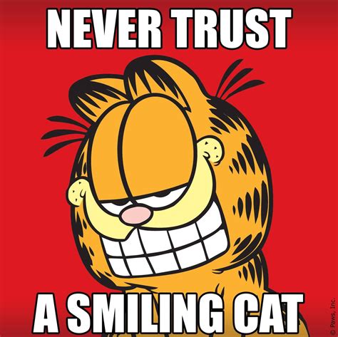 Pin by PAMELA'S HEART BOARDS on GARFIELD! | Garfield pictures, Garfield quotes, Garfield