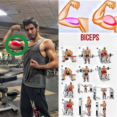 Biceps Workout #Biceps #BicepsExercises #BicepsWorkout | Biceps workout, Biceps exercises ...