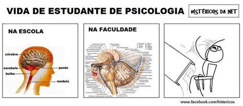 Neuroanatomia na escola x Neuroanatomia na faculdade de Psicologia ...