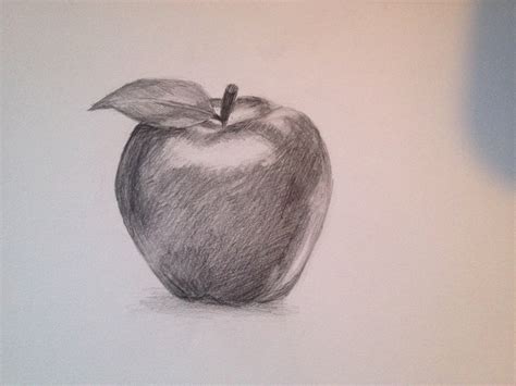 Sketch For Apple at PaintingValley.com | Explore collection of Sketch For Apple