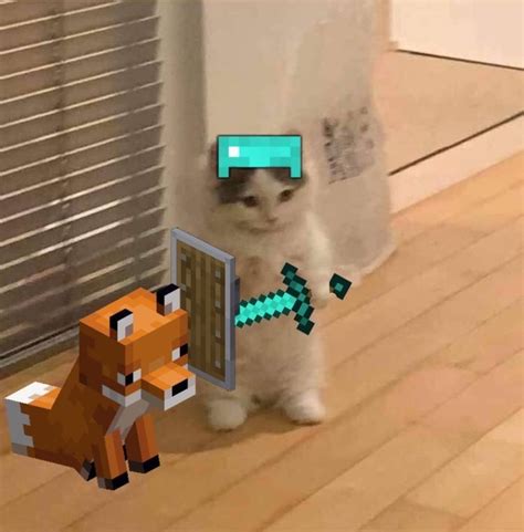 View 22 Cat Meme Pfp Minecraft - steelcomplesz