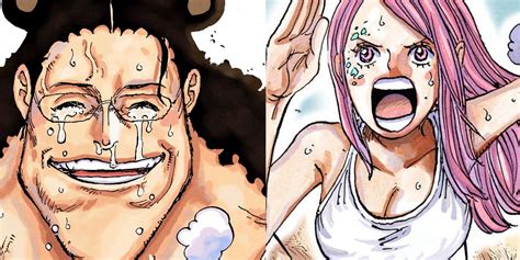 One Piece: Bonney & Kuma's Separation, Explained
