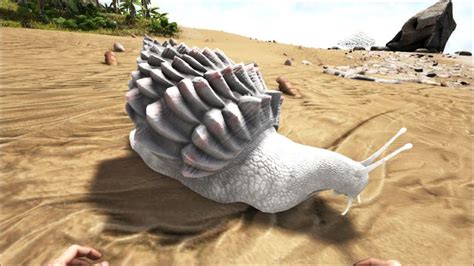 Achatina - Official ARK: Survival Evolved Wiki