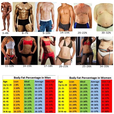 What is my body fat percentage? - Personal Trainer Birstall Batley ...