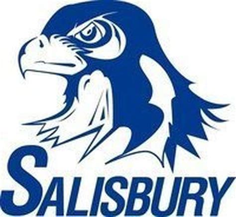 Salisbury High School football coach Rob Sawicki steps down - lehighvalleylive.com