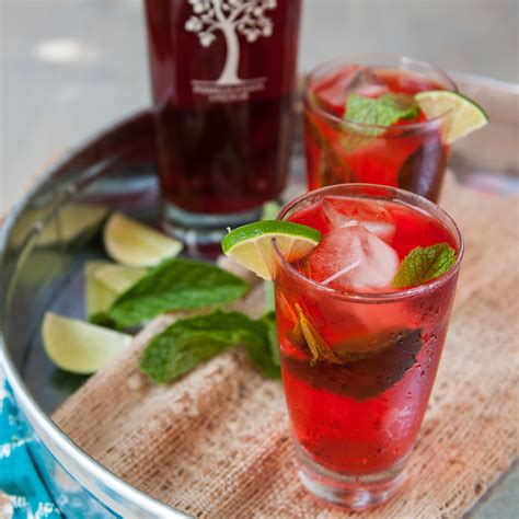 pomegranate margarita recipe with pama - Undischarged Online Journal Image Archive