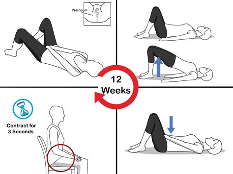 Image 65 of Pelvic Floor Muscles Male Exercise | pjf-jqny5