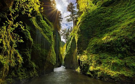 Oregon can be beautiful too. • /r/wallpapers | Waterfall, Beautiful landscapes, Landscape