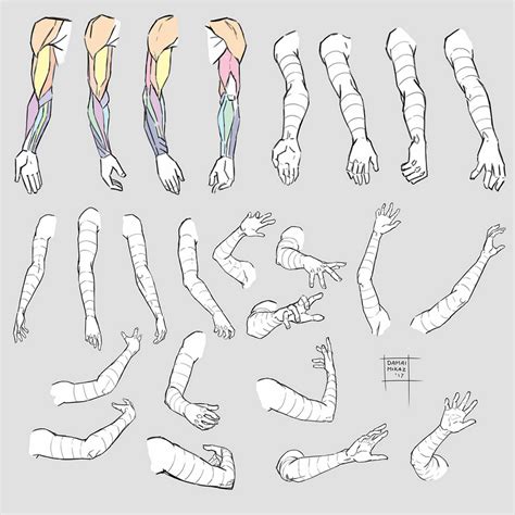 Arm Drawing, Human Anatomy Drawing, Hand Drawing Reference, Human ...