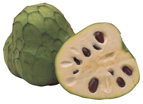 Cherimoya sold direct by the grower at Farmers Market Online