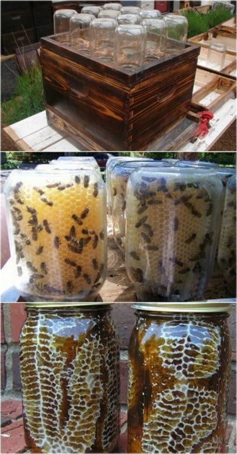 10 DIY Beehives You Can Add To Your Backyard Today | Backyard ...