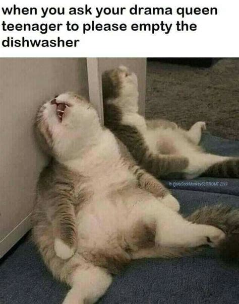 When you ask your drama queen teenager to please empty the dishwasher. | Animals funny cats ...