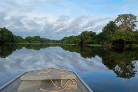 Pucallpa: los 5 rincones imperdibles que debes visitar - Los Viajes de ...