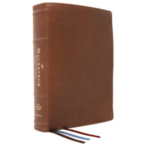 Nelson Study Bibles | EvangelicalBible.com