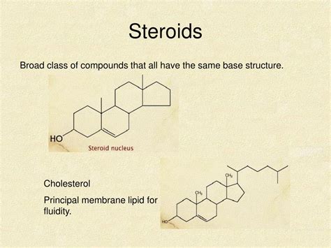 PPT - LIPIDS PowerPoint Presentation, free download - ID:6071888