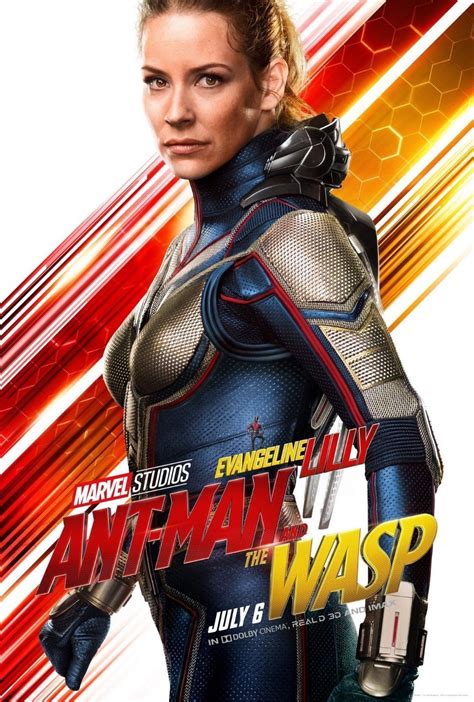 Details about Ant-Man and the Wasp Poster 48x32" 36x24 2018 Evangeline ...