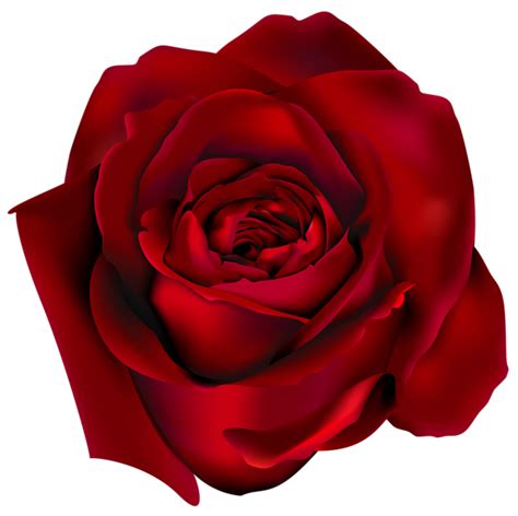 Flores Red Rose Png, Rose Flower Png, Flower Art, Home Flowers, Red Flowers, Red Roses, Vintage ...
