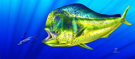 Mahi Painting by Hayden Hammond