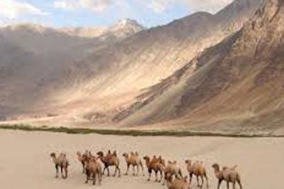 Ladakh Trekking Package, Ladakh Trek Tours