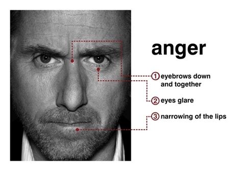 Lie To me : anger | Life | Lie to me, Body language, How to read people