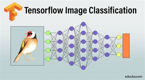 Tensorflow Image Classification | Complete Guide on Image Classification