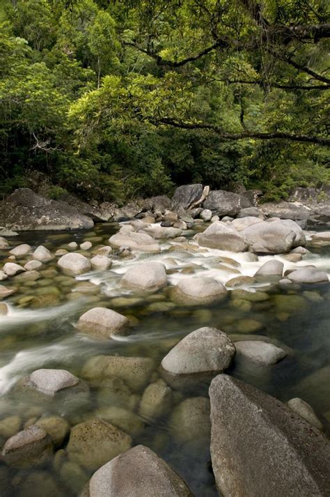 Mossman Gorge stock image. Image of nature, green, plants - 8957803