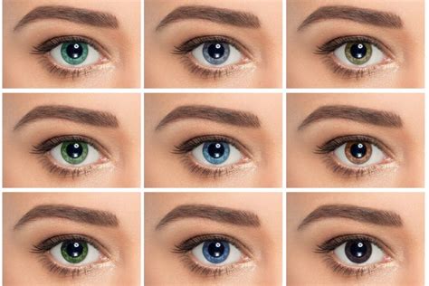 Common Color Of Eyes | lykos.co