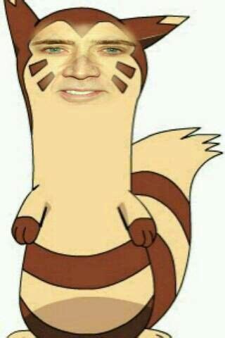 Nicolas Cage face swap with pokemon furret | Nicolas cage, Disney face ...