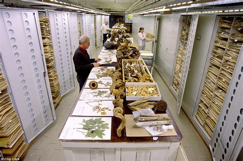 Inside the secret collections of the US National Museum of Natural History | Daily Mail Online