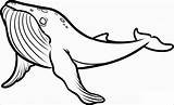Whale Coloring Pages  ColoringBay sketch template