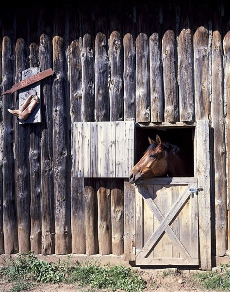 Free Images : wood, stable, stall, animal shelter 5184x3456 - - 202355 ...
