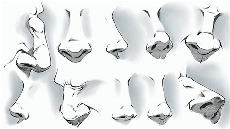 Comic Style Noses - Various Angles by robertmarzullo on DeviantArt