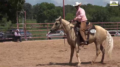 Missouri Fox Trotter Ava 2018 Open Ranchhorse Versatility WC - YouTube