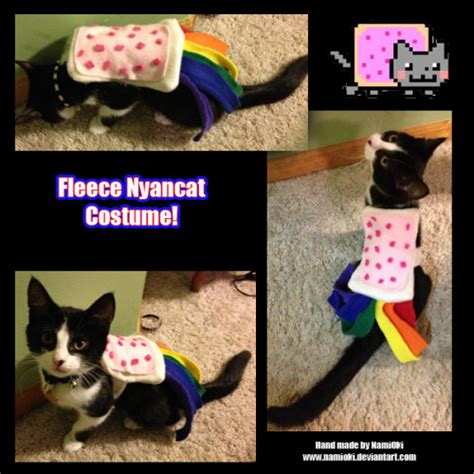 nyan cat costume on Tumblr