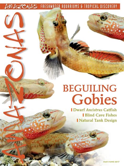 AMAZONAS May/Jun 2017: Beguiling Gobies - Aquatic Media Press