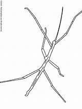 Stick Coloring Pages Coloring Pages sketch template