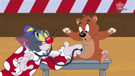 Tom si Jerry ~ Momeala ~ Desene animate traduse dublate in romana - YouTube