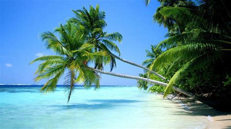 Tropical Beach Wallpapers Desktop - Wallpaper Cave