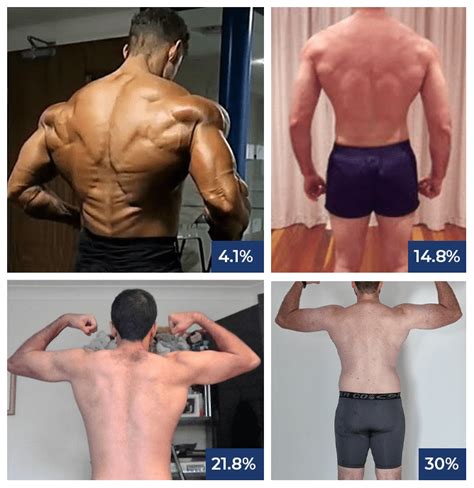 body fat percentage by picture for men - MennoHenselmans.com