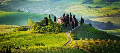 Tuscan Wines and Vines | ITALY Magazine