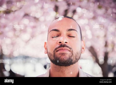 Young man standing under cherry blossom Stock Photo - Alamy