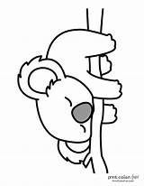 10 free Cute Koala coloring Pages At PrintColorFuncom sketch template