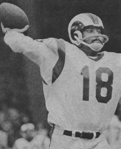 Image Gallery of Roman Gabriel | NFL Past Players