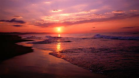 🔥 [50+] Sunset Beach NC Desktop Wallpapers | WallpaperSafari