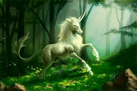 Bicorn? Unicorn Fantasy, Fantasy Horses, Fantasy Beasts, Unicorn Art, White Unicorn, Forest ...