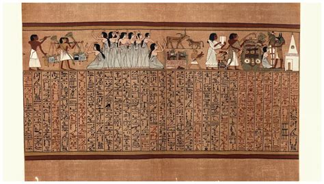 52-foot-long Book of the Dead papyrus from ancient Egypt discovered at ...