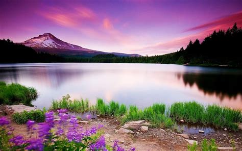 Nature Scenery Wallpapers on WallpaperDog