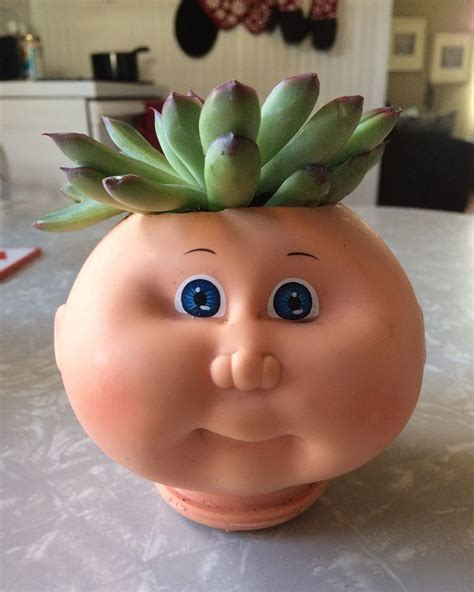 funny potting ideas // doll head // cabbage patch doll plant // old doll heads as pots // DIY ...