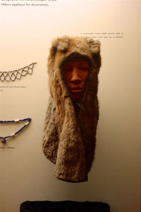 Beaver Skin hat American Museum of Natural History | Natural history, Fur coat, Beaver